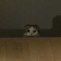 拡大してみるとかわいい