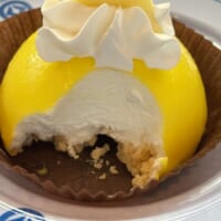 ムースがぎっしりと詰まった断面