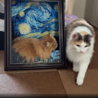 名画から飛び出してきた！？キャットハウス潜伏ドッキリで同居猫がびっくり
