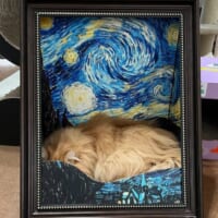 まるで美術館の展示品に擬態するかのよう