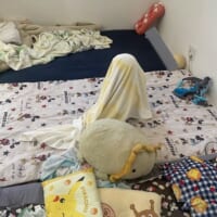 あれー？どこかなー？伸びしろしかない3歳児の“全力”かくれんぼが手強すぎる！