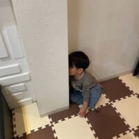 隠れているのは顔くらい？