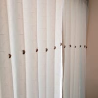 整列した脱け殻眺めながらほっとひと息…8才息子のセミ愛が炸裂する家