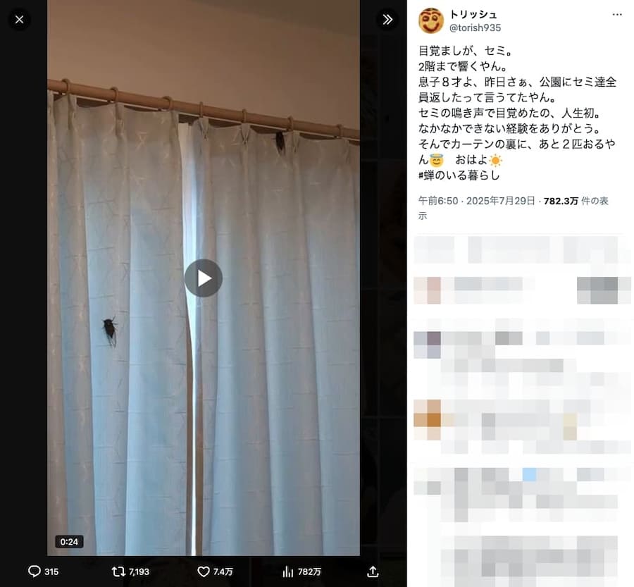 セミの大合唱