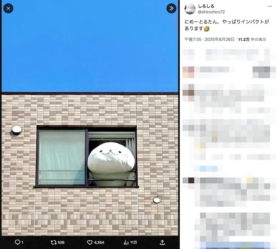窓から身を乗り出すしろたん