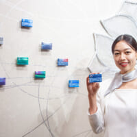 TEREA「KIWAMIエディション」9月3日発売　家紋アートを施した日本限定パッケージで展開