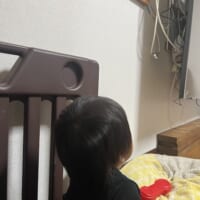 危険なテレビ裏に突撃する我が子 近寄らせないために「化け物」を仕掛けた結果
