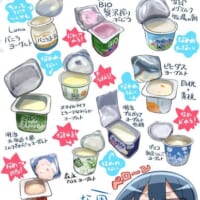 ヨーグルトのフタの裏なめ大全