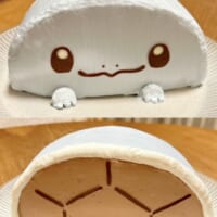 工夫の詰まったゼニガメケーキ