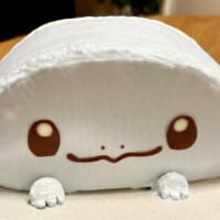 ゼニガメ希望のはずがピカチュウ！？　手作りケーキに起きた“育児あるある事件”