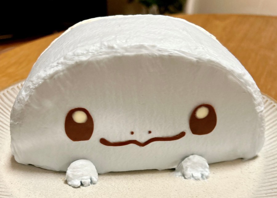 ゼニガメ希望のはずがピカチュウ！？　手作りケーキに起きた“育児あるある事件”