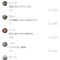 動画のコメント欄も炎上