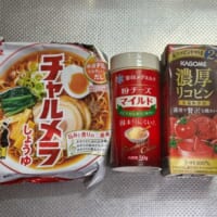 用意した材料