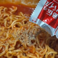 商品付属の「秘伝のスパイス」を振りかける