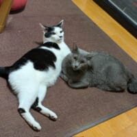 みろくくんとターラちゃん