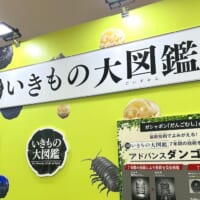 「いきもの大図鑑」ブース