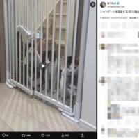 まつたけさんの投稿