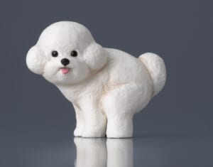ふんばる犬たちのカプセルトイに新犬種登場 「ふんばり~ぬ2」10月下旬発売