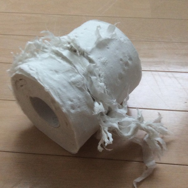 3枚目はトイレットペーパーの袋を開けっぱなしにしていた翌朝