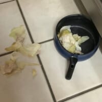 1枚目と2枚目は夕食後の鍋を片付けるのを忘れていた翌朝の光景