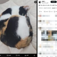 怒っているわけではない