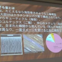 髪は自己補修できない