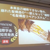 「毛髪構造リペアシステム」