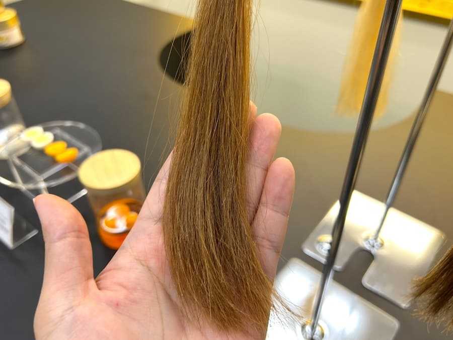 ダメージを与え続けた髪