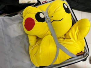 ポケパーク カントー』が2026年2月にオープンへ！11月21日からチケット