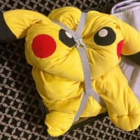 「かわいそうだけどかわいい」特別な感情が湧いてくる