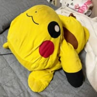 約9年前に購入