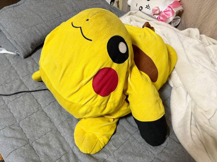 約9年前に購入