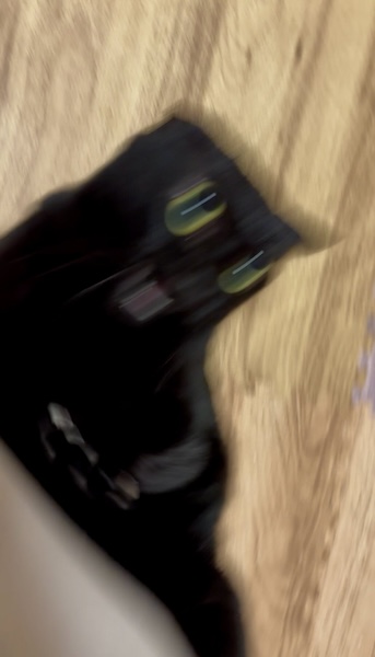 これが……猫？全力ダッシュで飼い主から逃げる猫ちゃんがカートゥーンすぎる