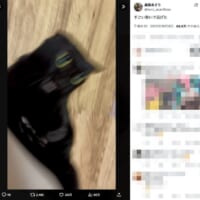 あとから自分で近寄ってきた