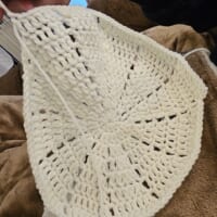 編み目や形がとても綺麗