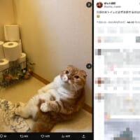 視線の先には夫さん