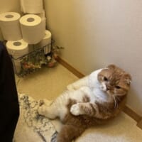 見守っている？