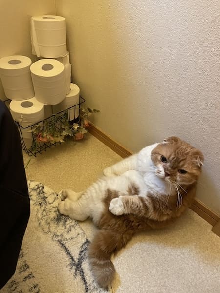 見守っている？