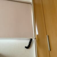 行方不明だった猫、まさかの場所で発見　ロールカーテンから垂れたしっぽが決め手に