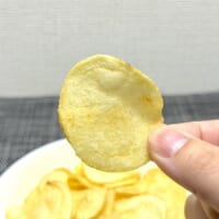 味はチーズ牛丼