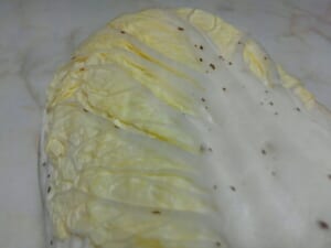 白菜の黒い斑点はポリフェノールだった　農林水産省が「捨てないで」と呼びかけ