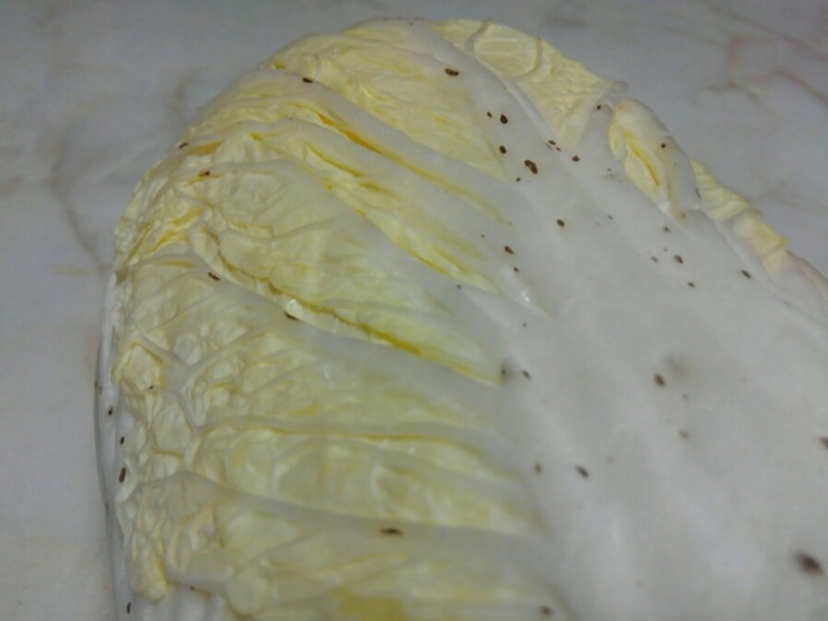 白菜の黒い斑点はポリフェノールだった　農林水産省が「捨てないで」と呼びかけ