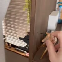 隠し部屋が現れる！