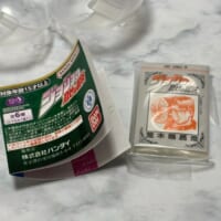 まず驚くのは、圧倒的な外装の再現度