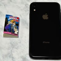 大きさは約5cm×3.3cmという極小サイズ