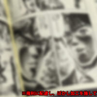 ページをめくると、モノクロで印刷された本編漫画が現れます