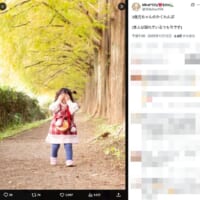 完璧に隠れている