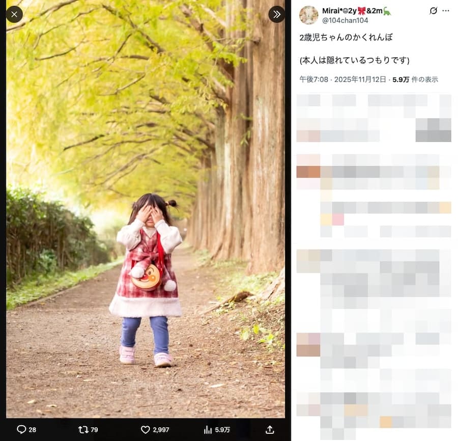 完璧に隠れている