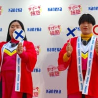 マルバツクイズに挑戦