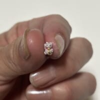 つままれた招き猫